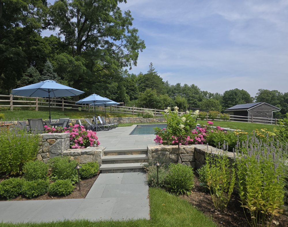 pool umbrellas and gardens