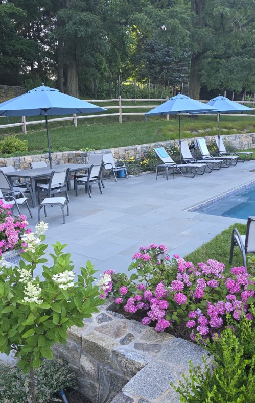 pool with lounge chairs